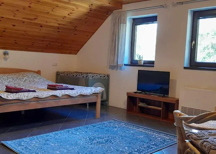 Apartmán U šimků