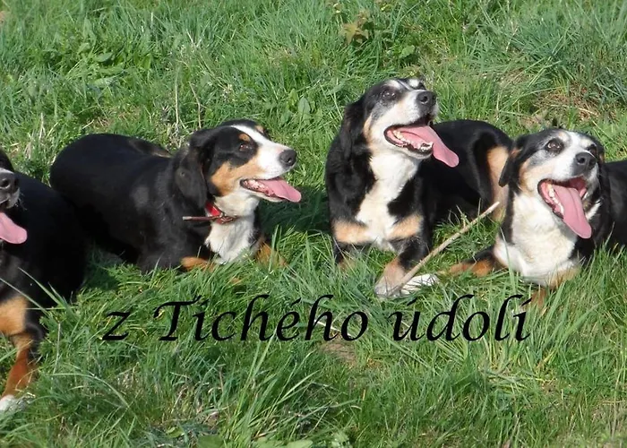 Apartmán U šimků Třeboň